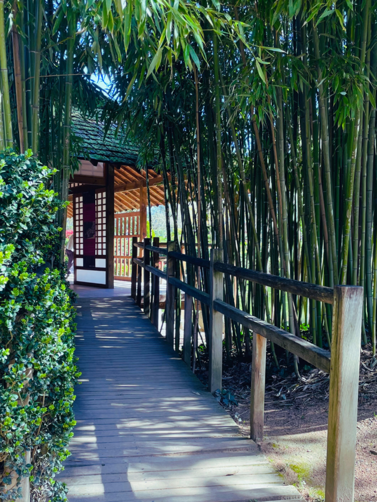 lieu spirituel, lieu pour méditer